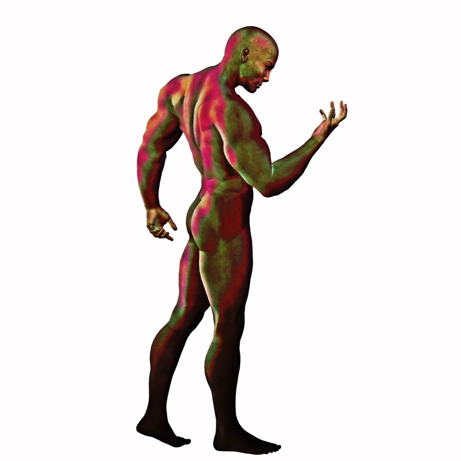 Physical Demands Analysis PDA Peak Kinesiology